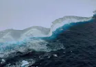 World's biggest iceberg could collide with Antarctic penguin island
