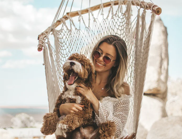 Our furry friends and faithful companions